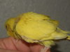 DSCN0265.JPG