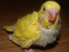 DSCN0489.JPG