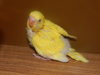 DSCN0503.JPG