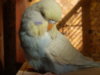 DSCN9046.JPG