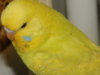 DSCN9888.JPG