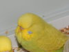 DSCN8840.JPG