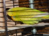 DSCN8762.JPG