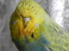 DSCN1070.JPG