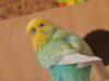 DSCN1566.JPG