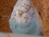 DSCN3745.JPG