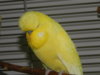 DSCN9585.JPG