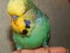 DSCN7699.JPG