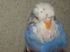 DSCN9986.JPG
