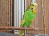 DSCN8359.JPG