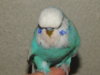DSCN0185.JPG