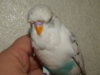 DSCN0221.JPG