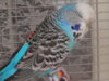 DSCN9953.JPG