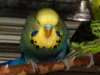 DSCN7285.JPG
