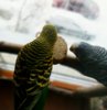 IMG_20161203_111706_704.jpg