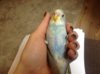 image.jpeg