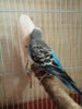 IMG_20161206_213000_876.jpg