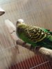 IMG_20161206_213037_746.jpg