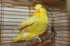 IMG_7752.JPG