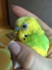 image.jpeg