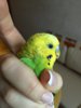 image.jpeg