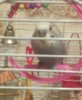 IMG_20161204_214955.jpg