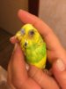 image.jpeg