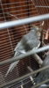 IMG_20161215_201829.jpg