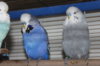 IMG_7774.JPG