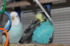 IMG_7804.JPG