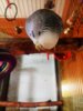 IMG_20161218_214454_406.jpg