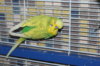 IMG_7829.JPG