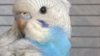 WP_20161219_13_41_56_Pro.jpg