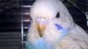 WP_20161219_14_49_23_Pro.jpg