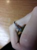 20161219_202013.jpg