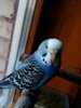 IMG_20161220_155828_665.jpg