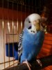 IMG_20161221_205348_628.jpg