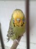 20161221_145528.jpeg