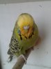 20161221_145542.jpeg