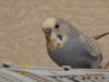 DSC00846.JPG