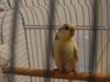 DSC00839.JPG