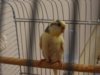 DSC00840.JPG
