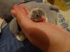 DSC00842.JPG