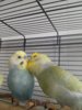 20161127_114445.jpg
