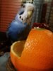 IMG_20161225_203122_159.jpg