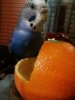 IMG_20161225_202820_599.jpg