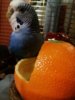 IMG_20161225_202854_981.jpg