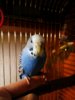 IMG_20161220_222235_032.jpg