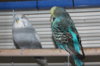 IMG_7896.JPG