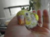 SAM_3709.JPG